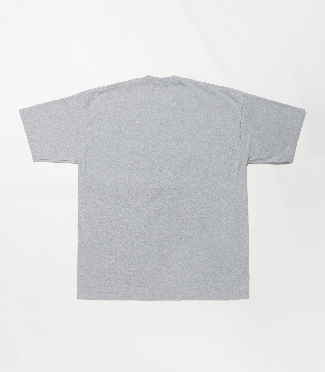 Load image into Gallery viewer, AOR SOUVENIR S/S T-SHIRT GRAY
